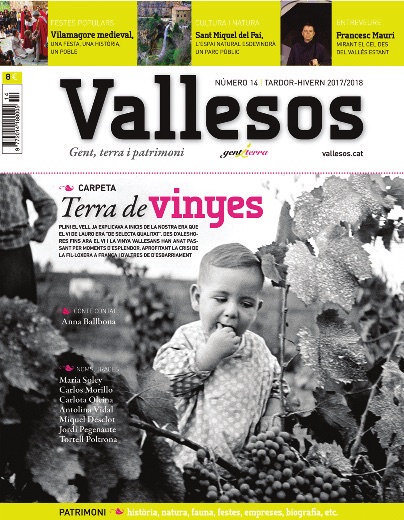 Vallesos 14 - Terra de vinyes