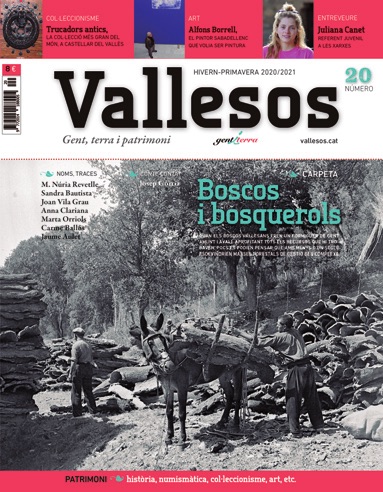 Vallesos 20 - Boscos i bosquerols