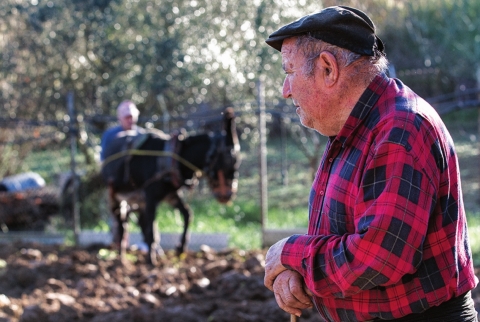 Òscar Puig, l’últim  vinyater de Rubí