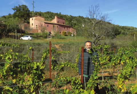Renaixença de la vinya  a la Vall d’Horta