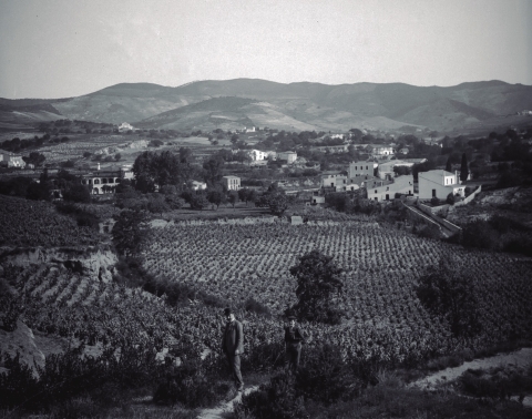 A Cerdanyola són lloparrets, a Ripollet són guineuetes