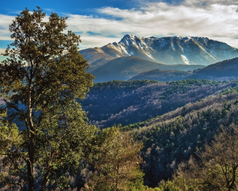 El Montseny: senyal de vida