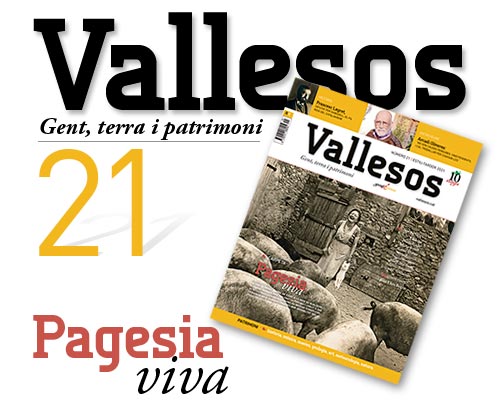Vallesos